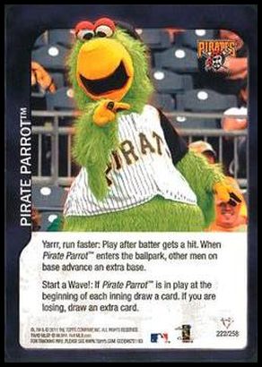 222 Pirate Parrot